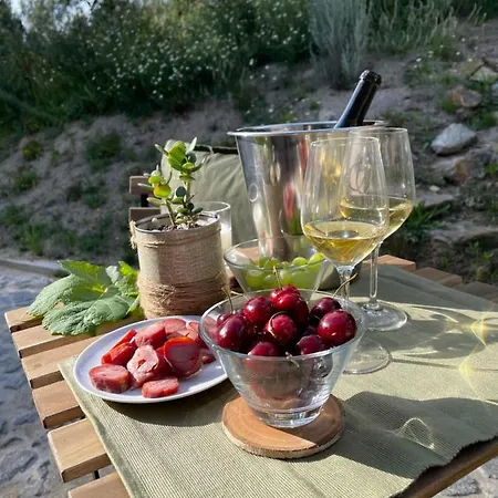 Casa De Morao * Viana do Castelo